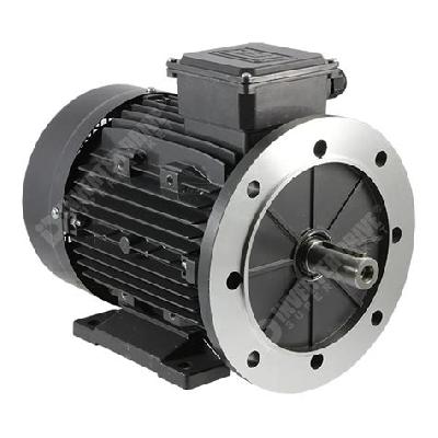 Flange Type Induction Motor