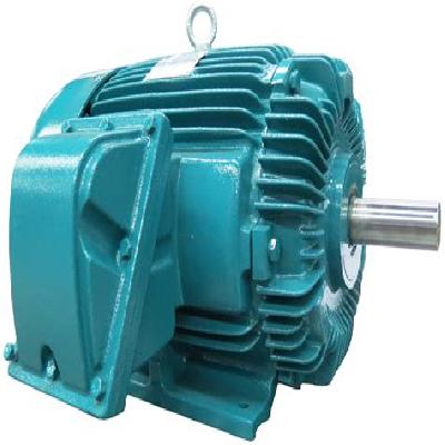 High Efficiency Brook Crompton Motor
