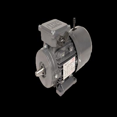 Hindustan 2780 RPM 2 Pole Brake Motor