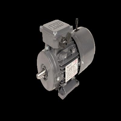 Hindustan 960 RPM 6 Pole Brake Motor