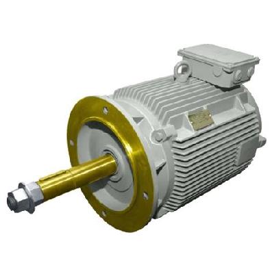 Hindustan Electric  Cooling Tower Motor