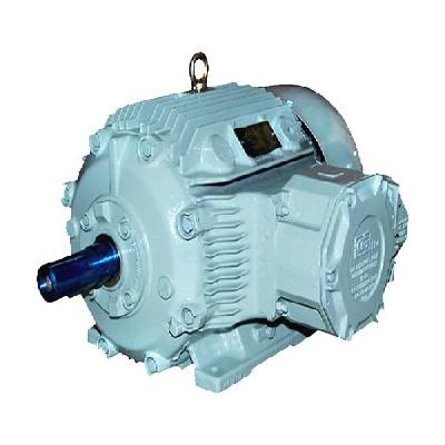 Multi Speed Flameproof Motors