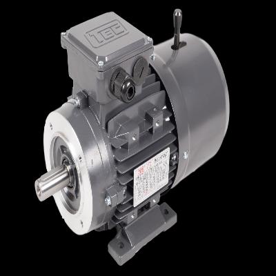Rotomotive Brake Motor