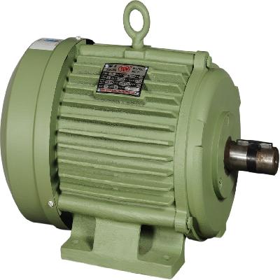 Rotomotive Foot Mounted Motor