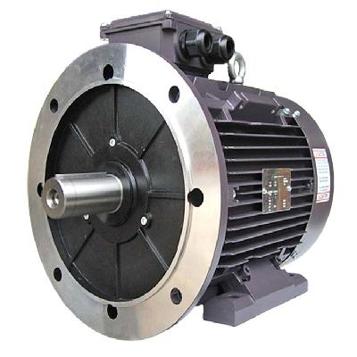 Single Phase Flange Mounting Motor