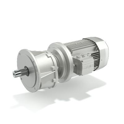 Bonfiglioli Geared Motor