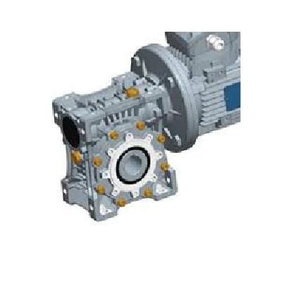 Rotomotive Worm Geared Motor