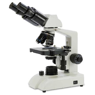 Trend_Binocular Microscope
