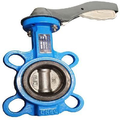 Butterfly Valve Casting