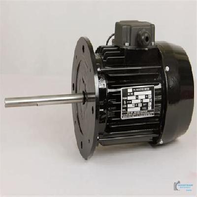 3 Phase Ac Induction Motor
