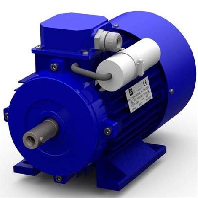 MS Series Three Phase Motor
