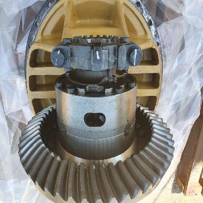 Differential Bevel Gear