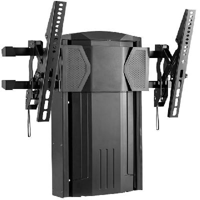 Wall Mounted Lift