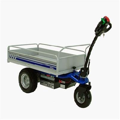 Motorized Trolley
