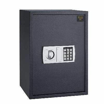 Electronic Economic Series Safe