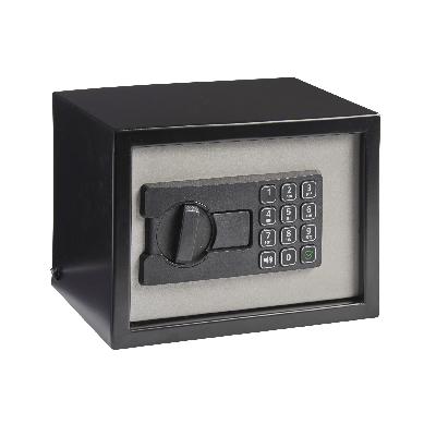 Standard Safe Small