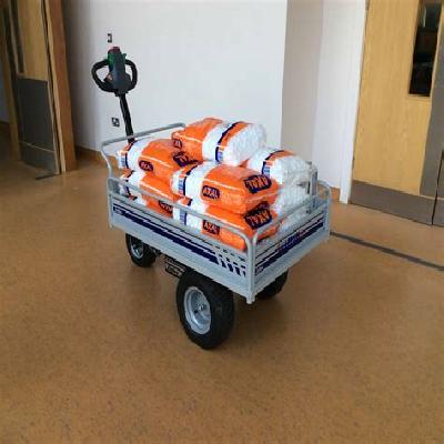 Electric Platform Truck