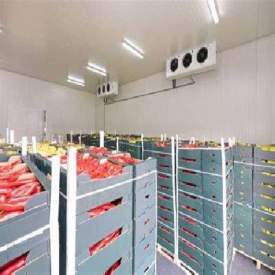 Frozen Food Cold Room
