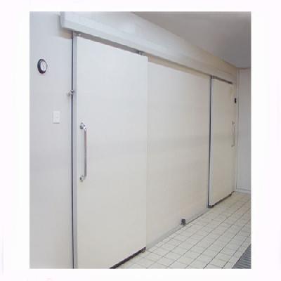 Insulated Cold Storage Door