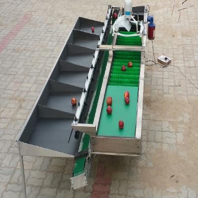 Apple Grading Machine