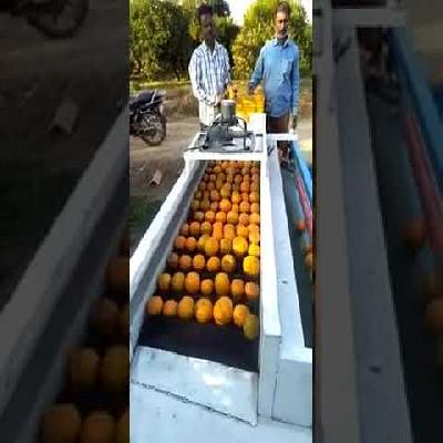 Kinnow Grading Machine