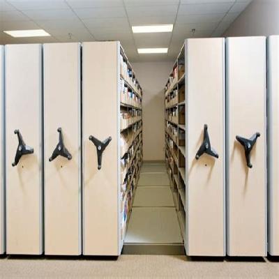 Mobile Storage System