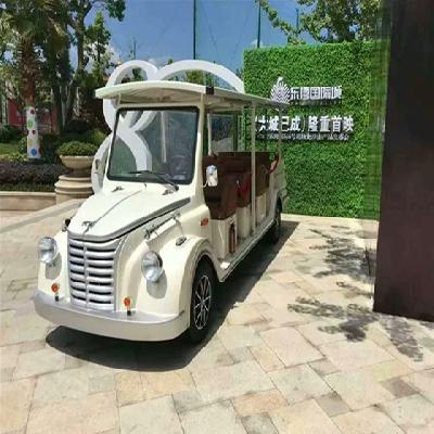 Fourteen Seater Electric Carts