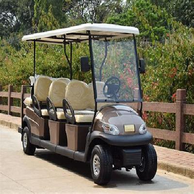 Six Seater Electric Carts