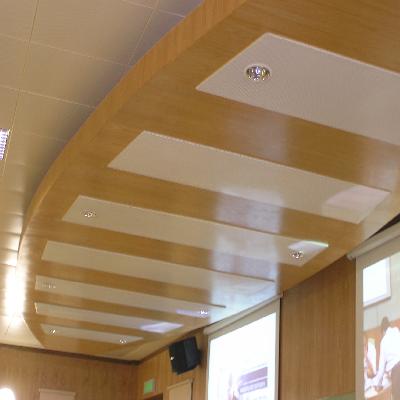 Clip In Ceiling