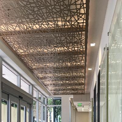 Decorative Suspended Metal False Ceilings
