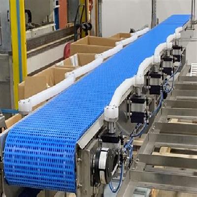 Sorting Conveyors
