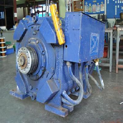 DC Shunt Motors Repairing Services