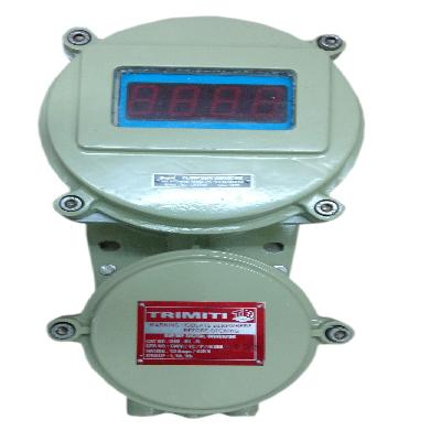 Flame Proof Controller Repairing Service