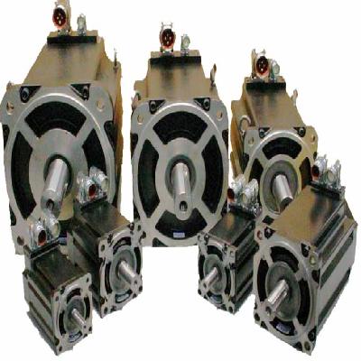 Motion Control Motor