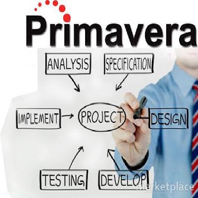 Primavera Training