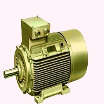 Three Phase Induction Motor