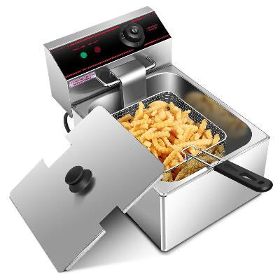 Electric Deep Fryer