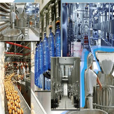 Food and Beverages Industry Solutions