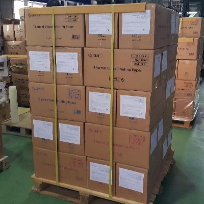 Export Cargo Pallets