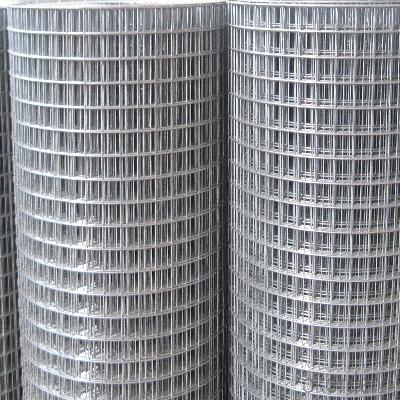 Galvanized Wire Mesh