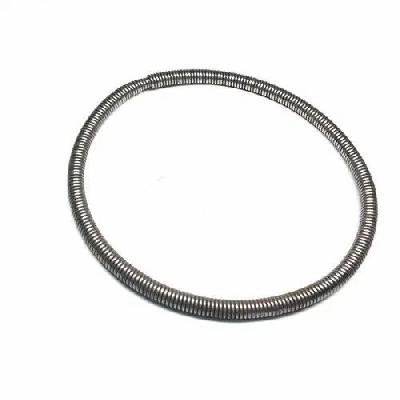 Oil Seal Springs