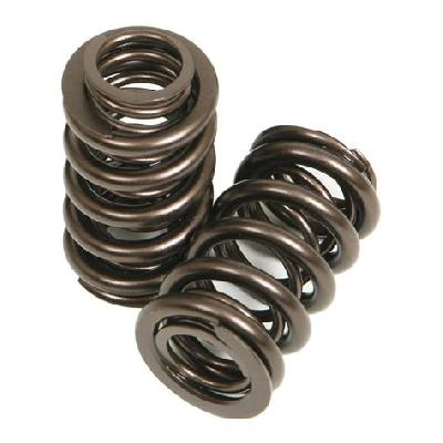 Valve Springs