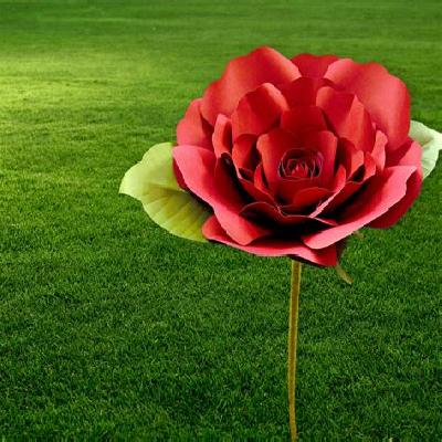 PVC Fancy Flowers