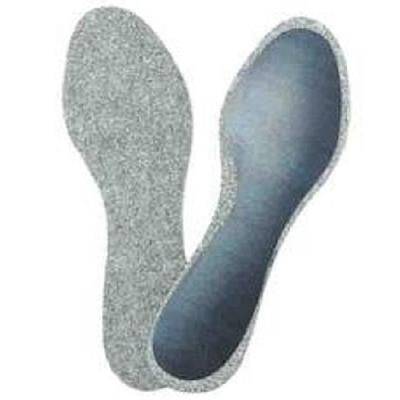 Shoe Shanks Insole