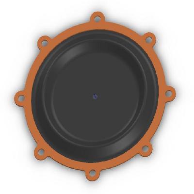 PGg CNG Kit Diaphragm