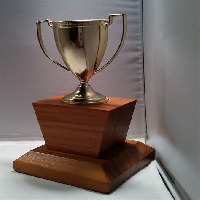 Premium Wood And Metal Trophies