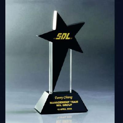 Star Acrylic Trophy
