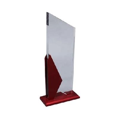 Stylish Shape Acrylic Trophy