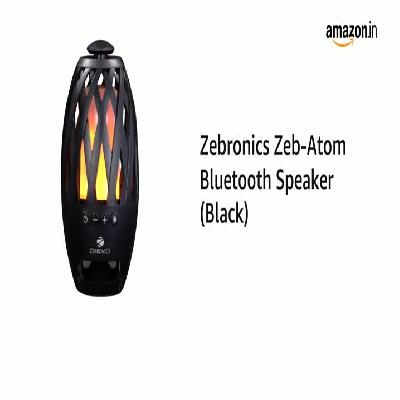 Zebronics PORTABLE BT SPEAKERS (Atom)