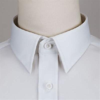 Shirt Collar Bone With Brand